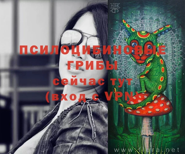 дмт Медвежьегорск