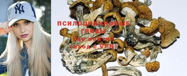 дмт Медвежьегорск