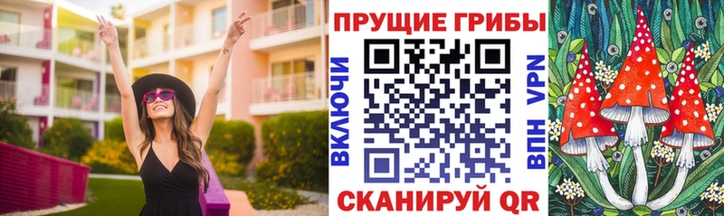 Псилоцибиновые грибы прущие грибы  Усть-Кут 