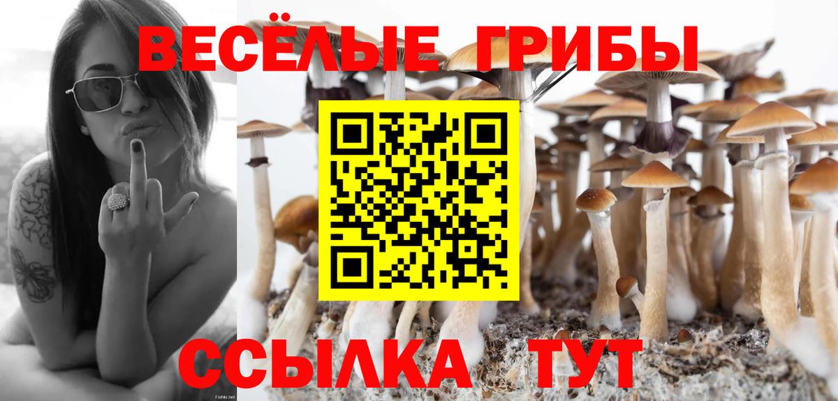 Галлюциногенные грибы Magic Shrooms Усть-Кут
